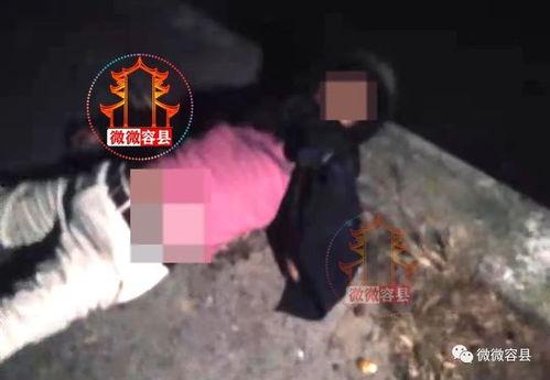 深夜一级视频在线观看,揭秘热门影视作品背后的精彩瞬间
