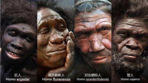 猴子变人的视频