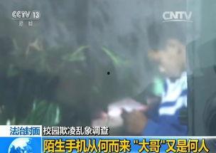 色五哥视频